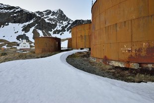 Grytviken Whaling Station remains, South Georgia