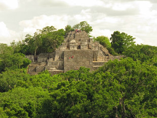 Calakmul Mayan temple ruins and Wildlife Mexico Guatemala - photography by Ralph Pannell (Aqua-Firma)