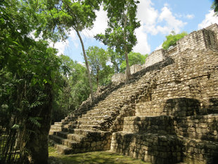 Mayan Temple at Calakmul - Ralph Pannell