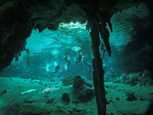 Cenote Diving in Yucatan Peninsula - Ralph Pannell