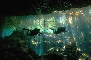 Cenote Diving in Yucatan Peninsula
