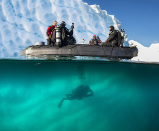 Diving in Antarctica