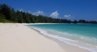Denis Private Island Beach Seychelles Holly Payne.jpg