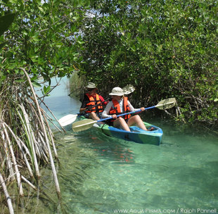 Kayaking in Sian Ka'an Biosphere Reserve - Ralph Pannell - Aqua-Firma Adventure and Wildlife Travel Mexico