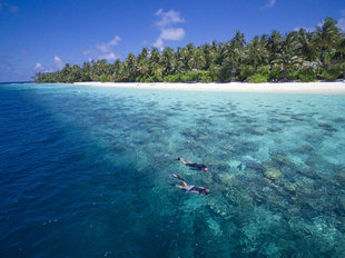 House Reef Snorkelling at Maldives Dive Resort in Faafu Atoll