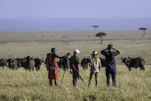 Walking Safaris in the Masai Maria Reserve