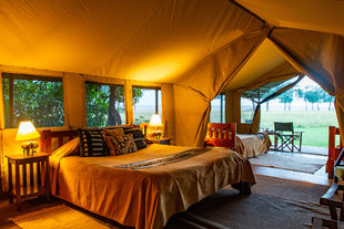 Luxury Safari Tent in the Masai Mara Reserve, Kenya