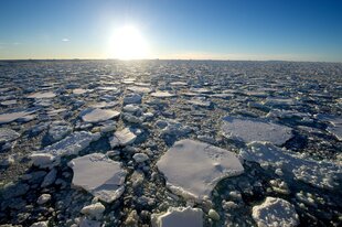 Antarctica Ross Sea pack ice