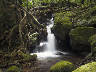 Waterfall within Masoala National Park