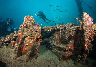 Wreck Diving in the Maldives