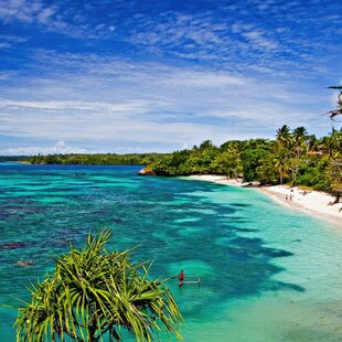 Papua New Guinea reef & rainforest