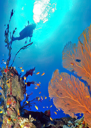 Underwater at Radames in Madagascar
