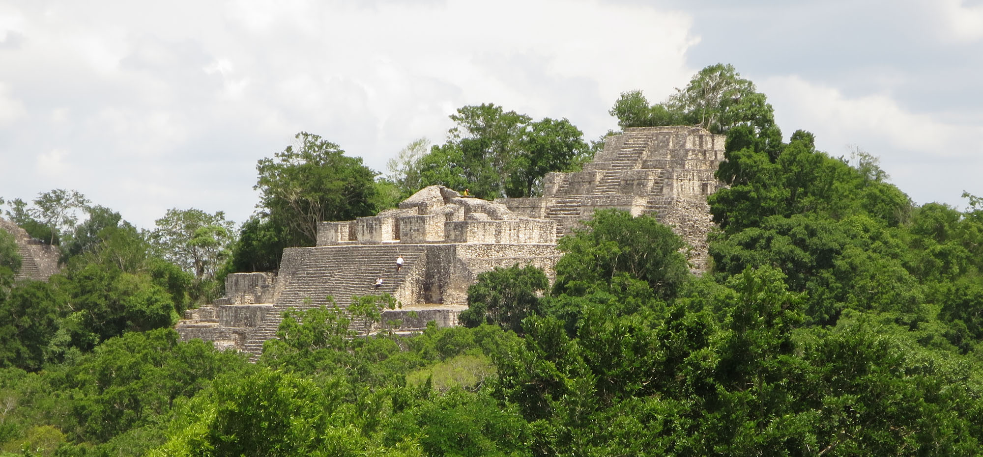 Calakmul Mayan Temple in Mexico Yucatan Peninsula - Ralph Pannell, Aqua-Firma wildlife travel