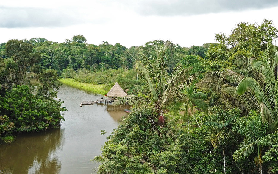 amazon canoe kichwa lodge & camping wildlife rainforest