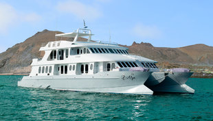 Alya-galapagos-motor-yacht-safari-wildlife-marine-life-cruise-sailing-holiday-adventure.jpg