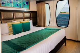 double-cabin-Alya-galapagos-motor-yacht-safari-wildlife-marine-life-cruise-sailing-holiday-adventure.jpg