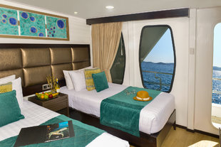 Twin-cabin-Alya-galapagos-motor-yacht-safari-wildlife-marine-life-cruise-sailing-holiday-adventure.jpg