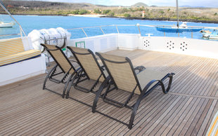 Humboldt Explorer Sun Loungers