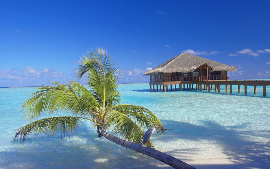 maldives travel covid guidelines