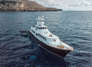 Baja-whale-watching-dive-yacht-liveaboard-Gallant-Lady.jpg