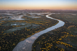 The Pantanal