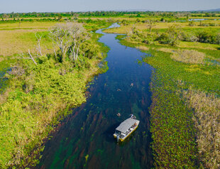 River Safari in the Pantanal