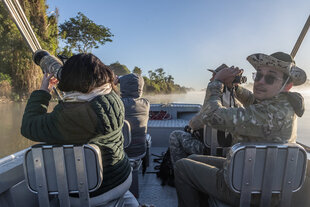 Wildlife Spotting in the Pantanal