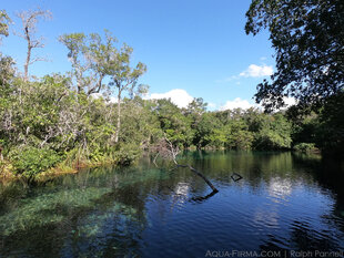 Rio da Prata Crystal River