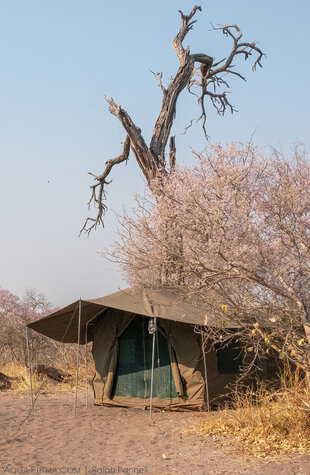 Deluxe Mobile Safari Sleeping Tent